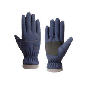 Winter Gloves
