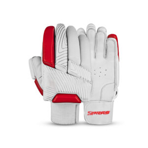 Cricket Gloves