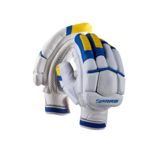 Cricket Gloves